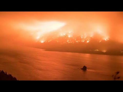 forest fire 1