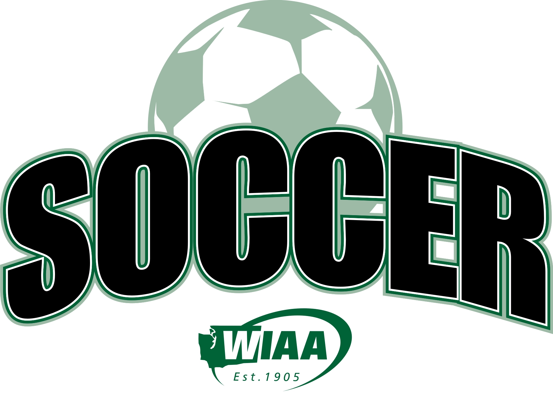 wiaaSoccer