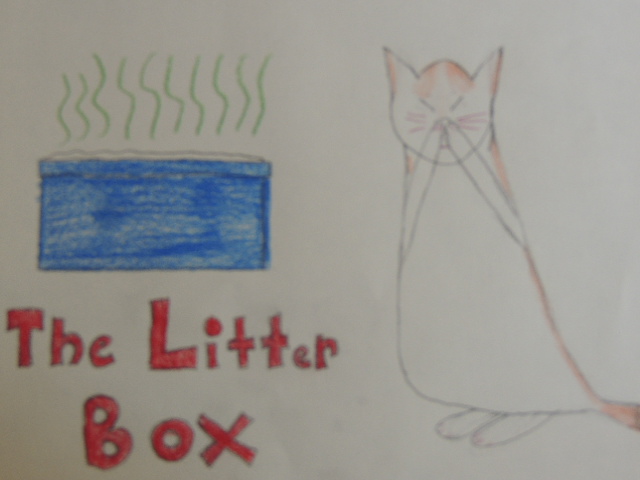 litter box