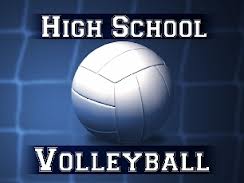 volleyball logo