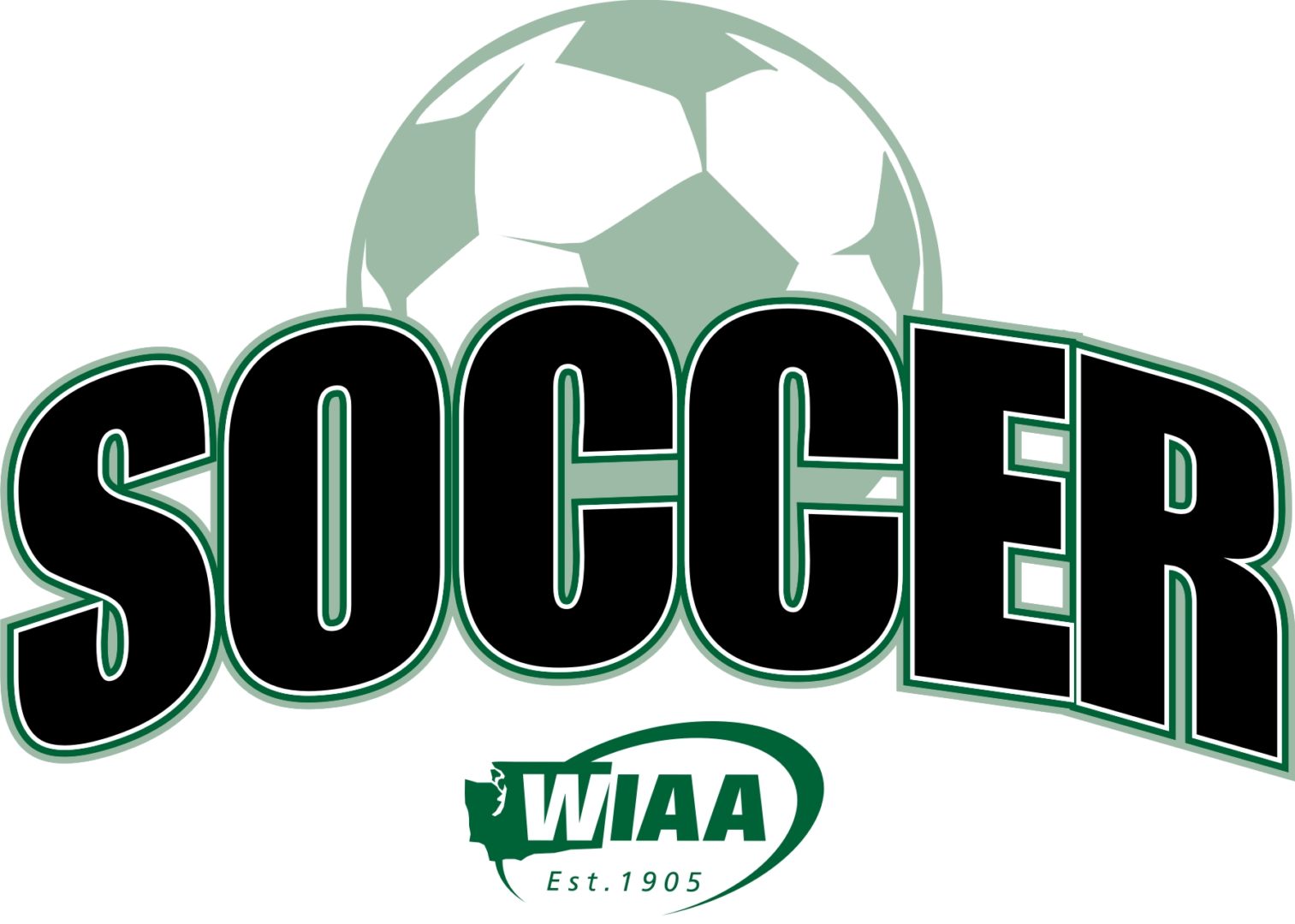 wiaaSoccer