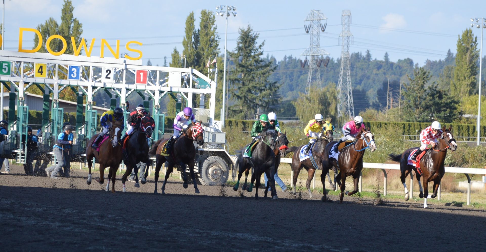 Emerald Start of Race