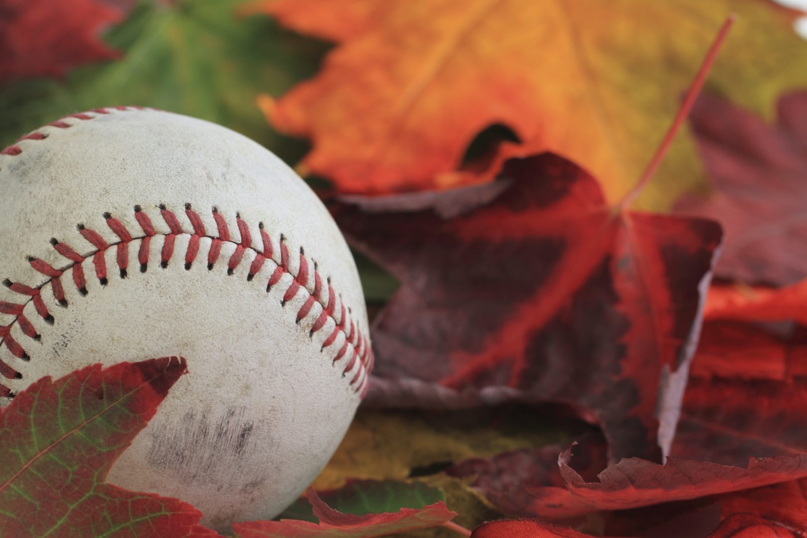fall baseball