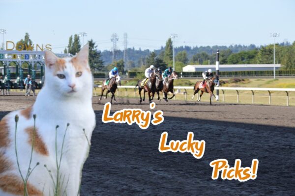 Larrys-lucky-picks (1)