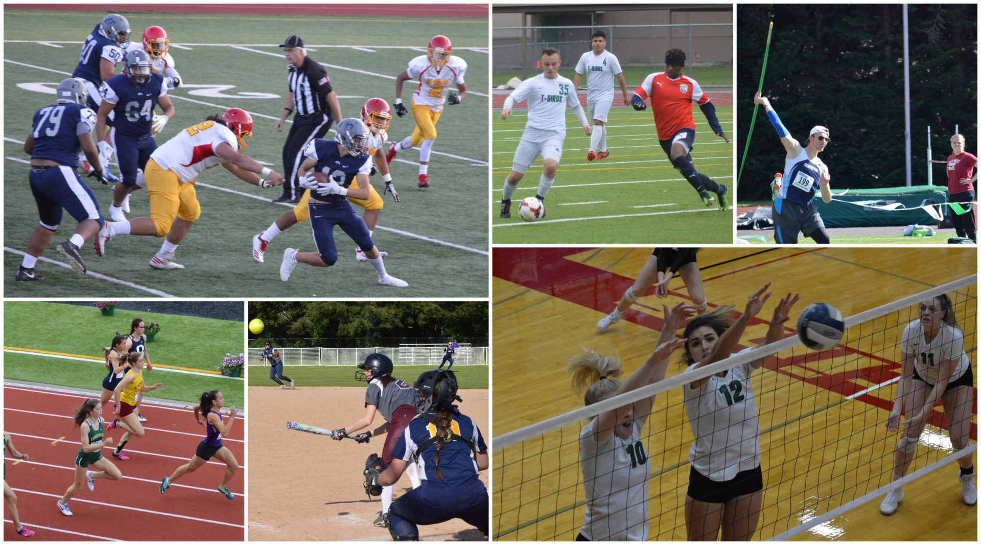 sports collage 1