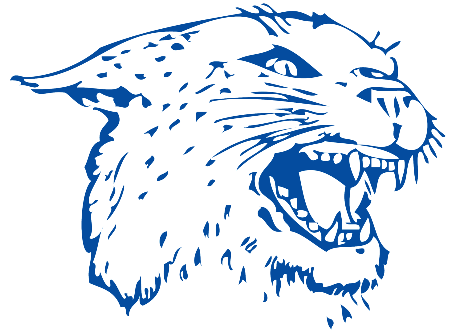 colton hs logo wildcats