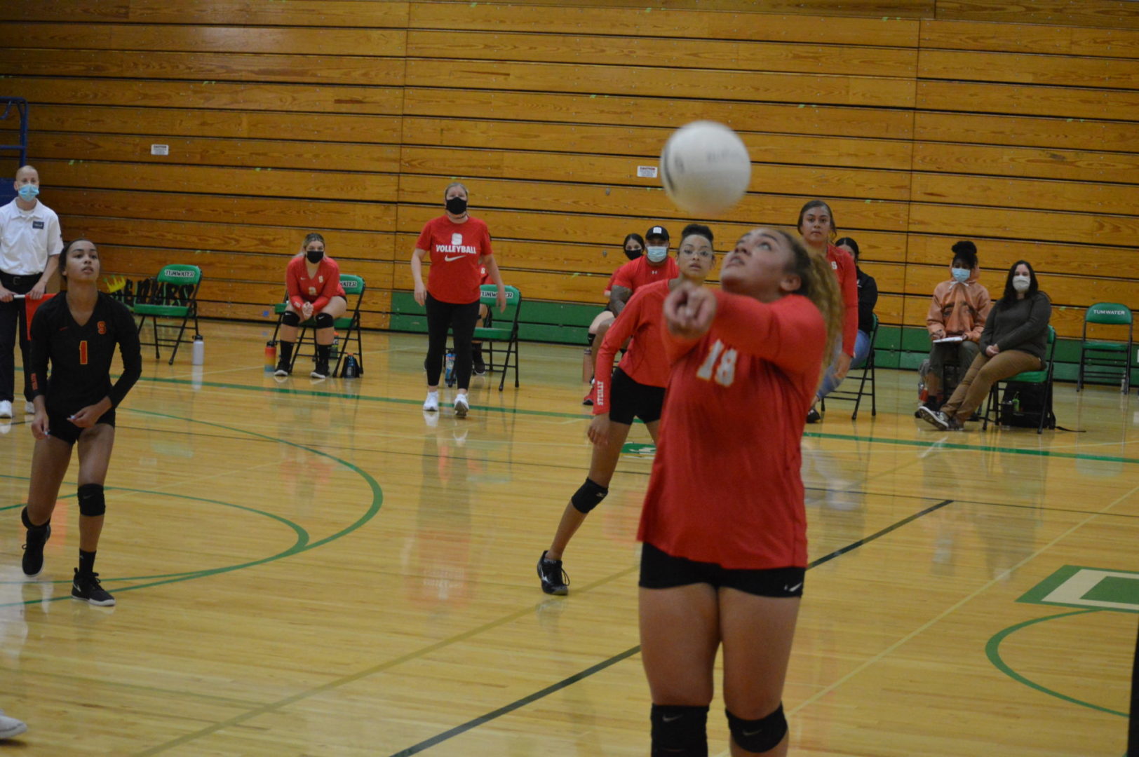 steily tum vb 1