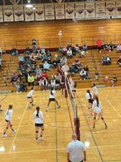 wfw shel vb 3