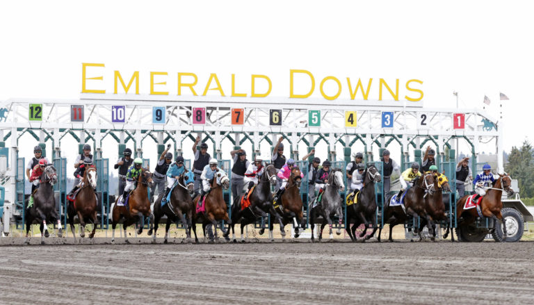 emd emerald downs gate (2)