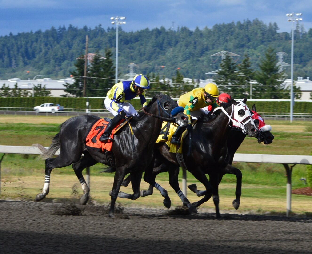 race 8 home stretch
