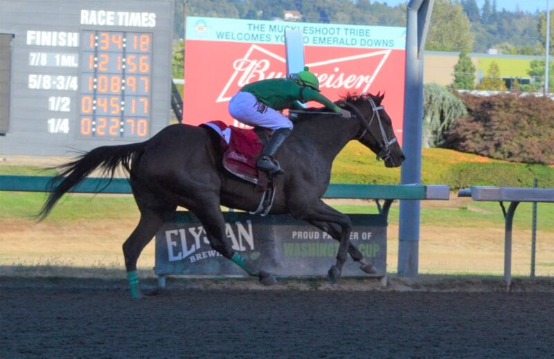 EMD MDay r8 Slews Tiz Whiz wins the Longacres mile