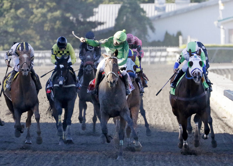 emd Slew's tiz whiz winning 87th mile