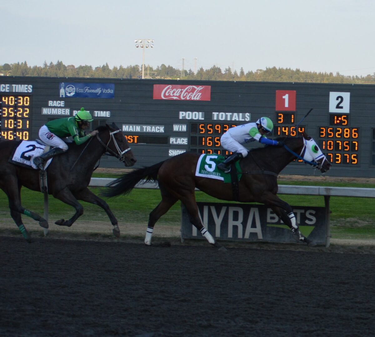 Race 9 Kevin Radke on Papas Golden boy (7)