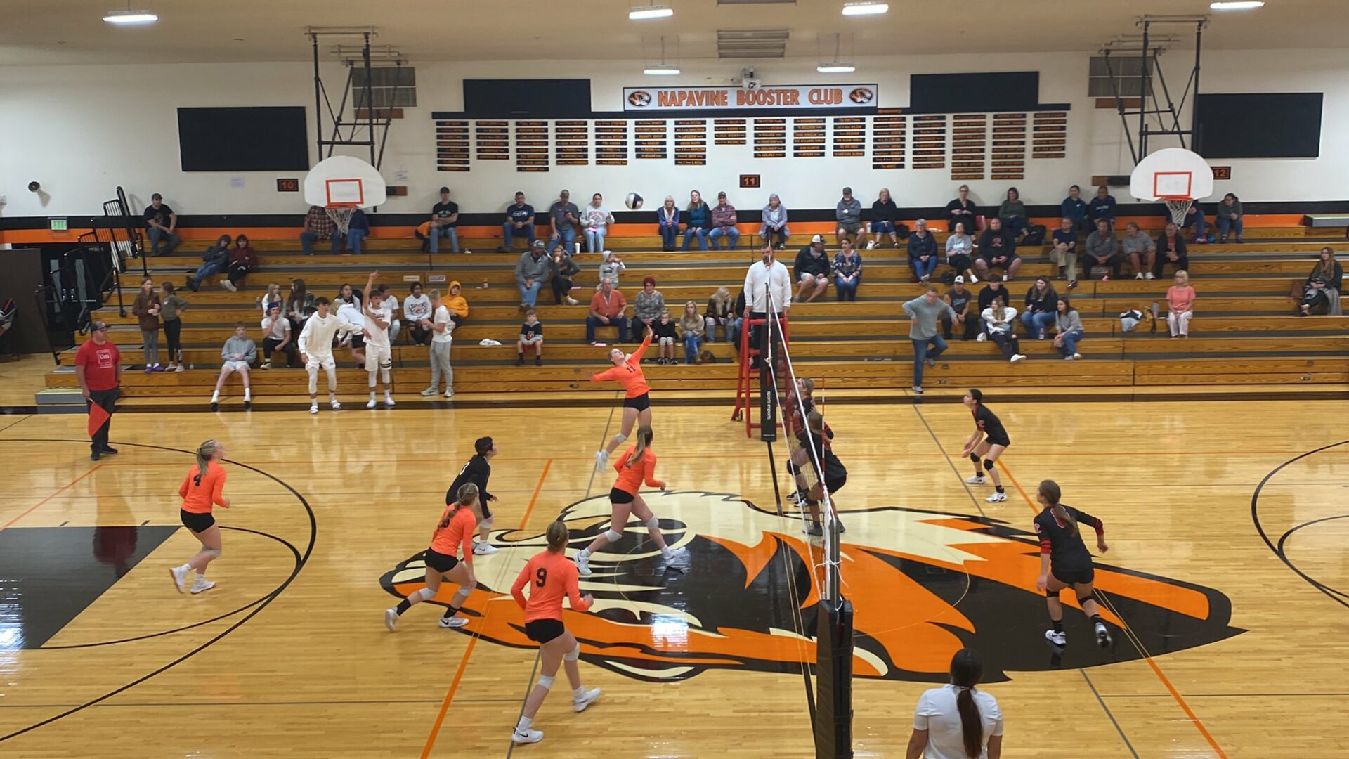 Raymond-Napavine