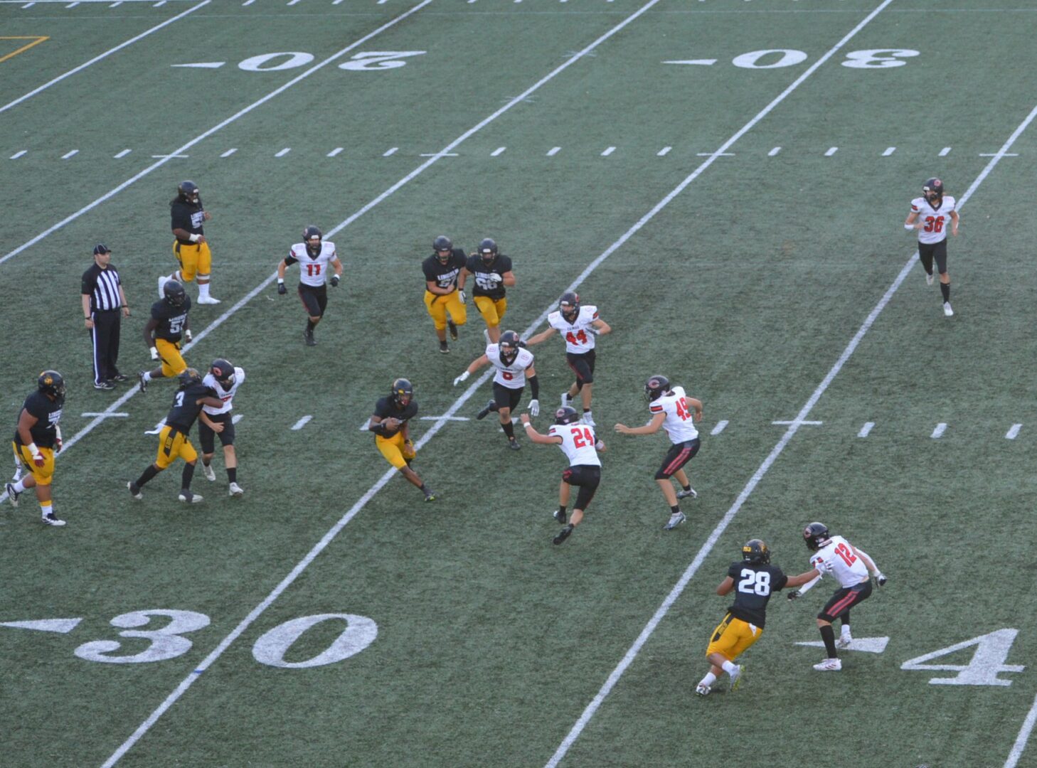 fb linc cam 10