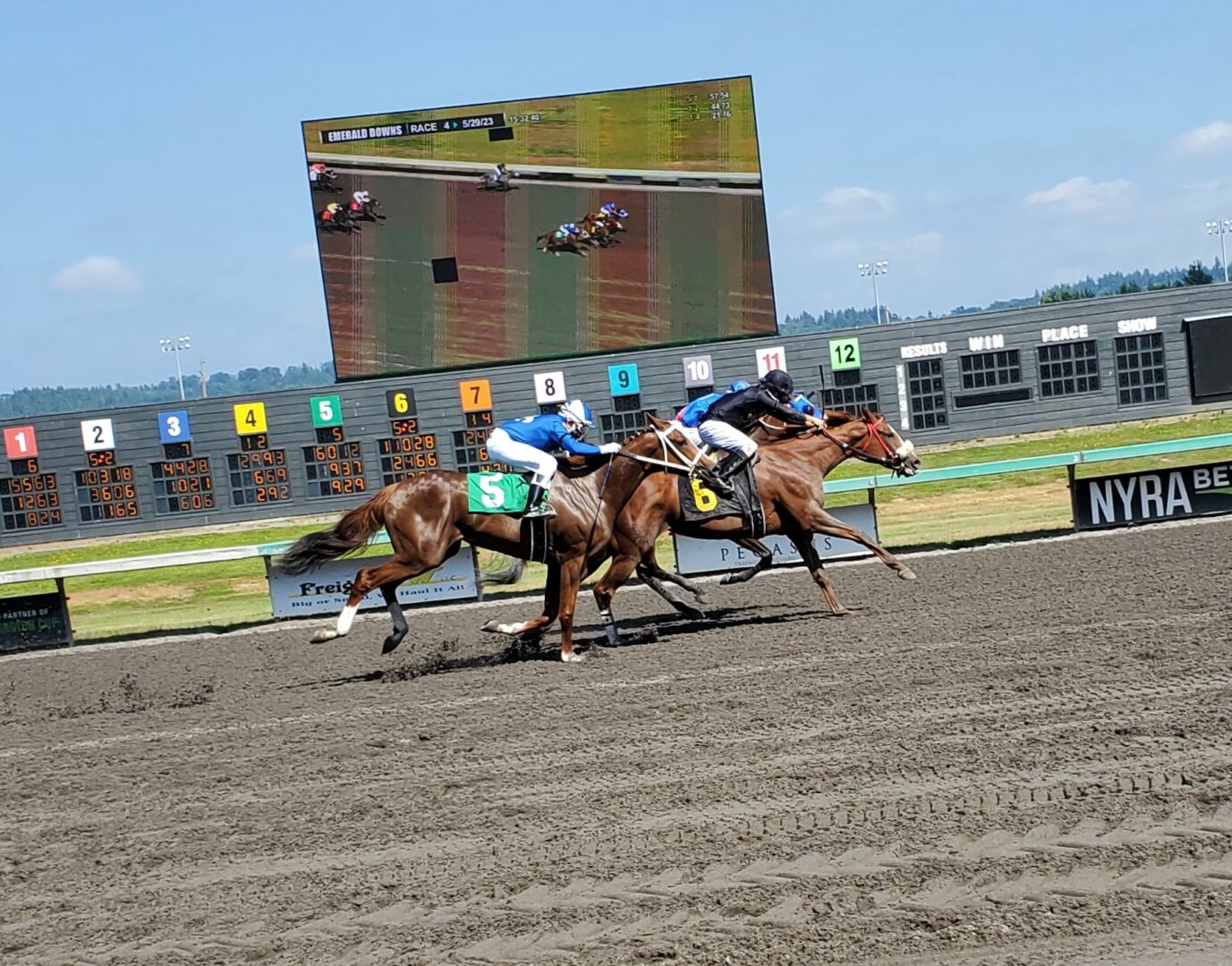 emd unbridled scholar radke