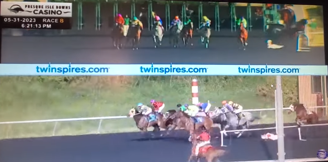 emd presque isle loose horse