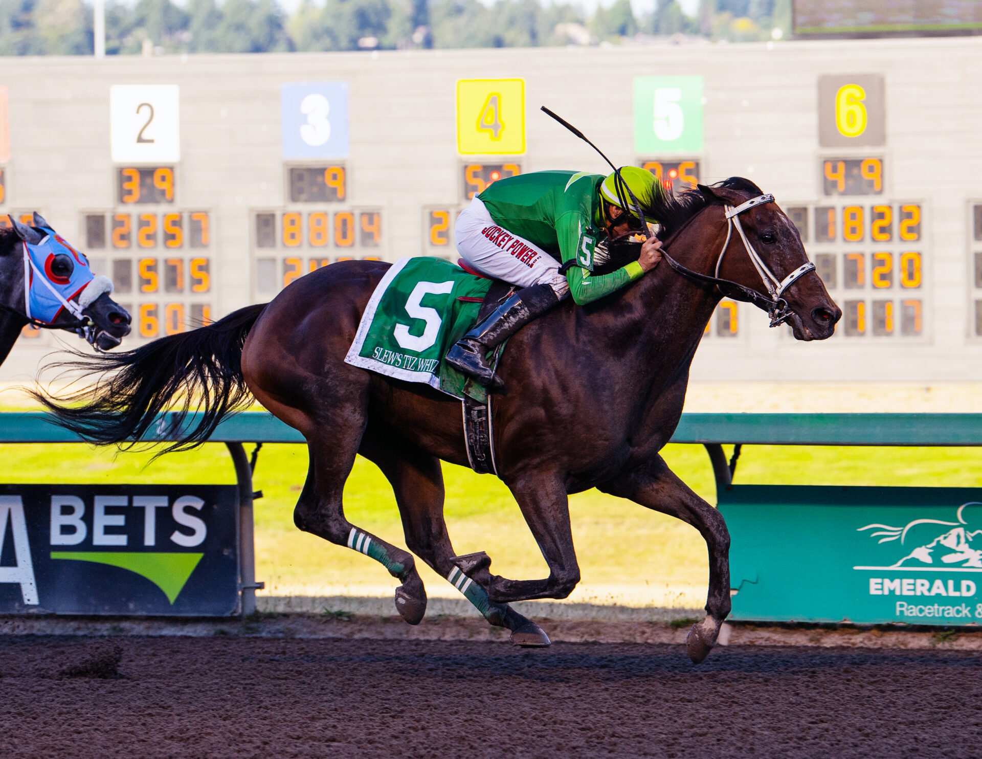 emd Slew's Tiz Whiz gov 2023 2