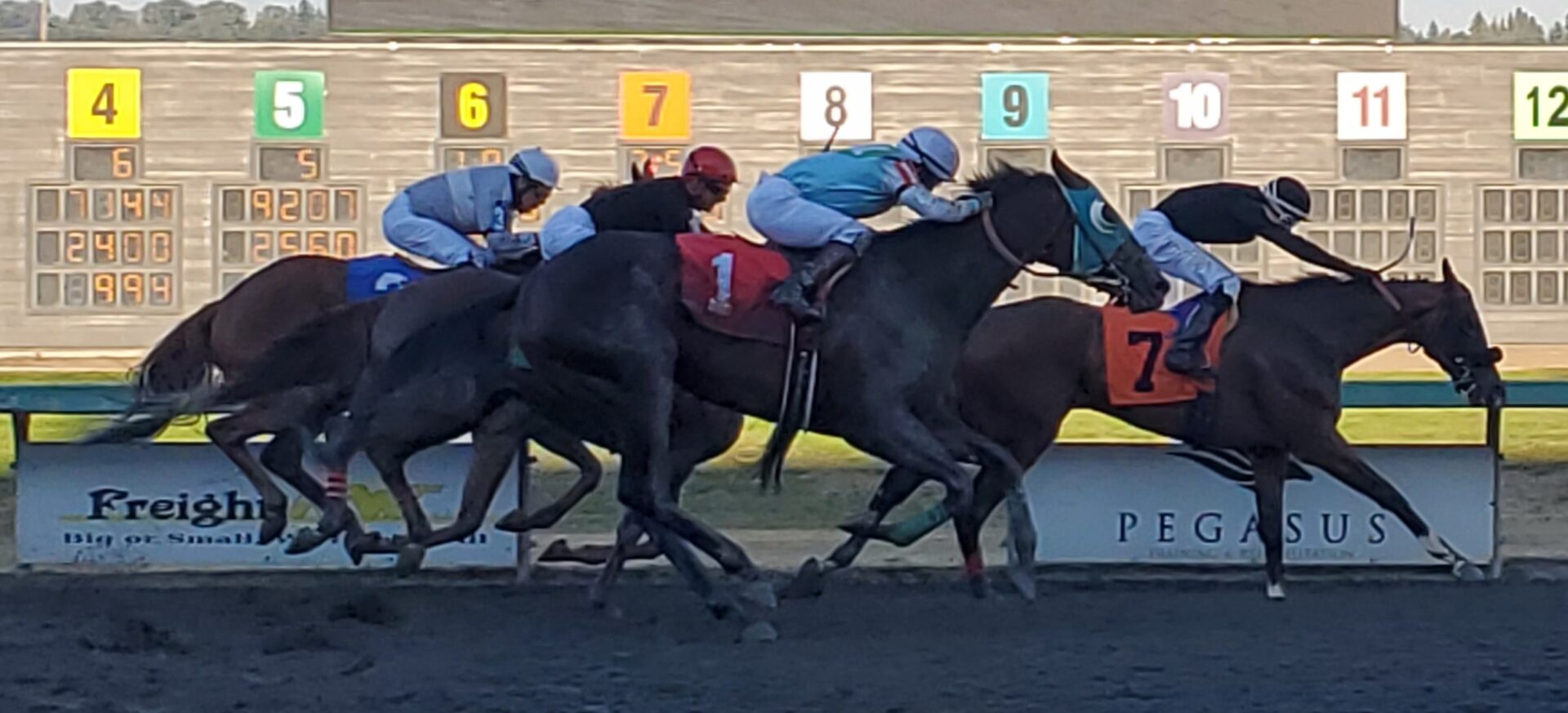 emd race 9 (4)