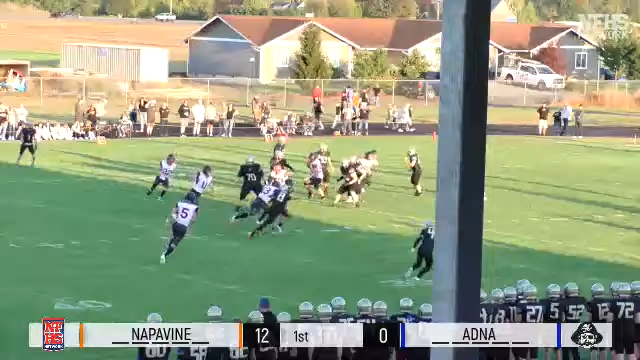 adna napa 1