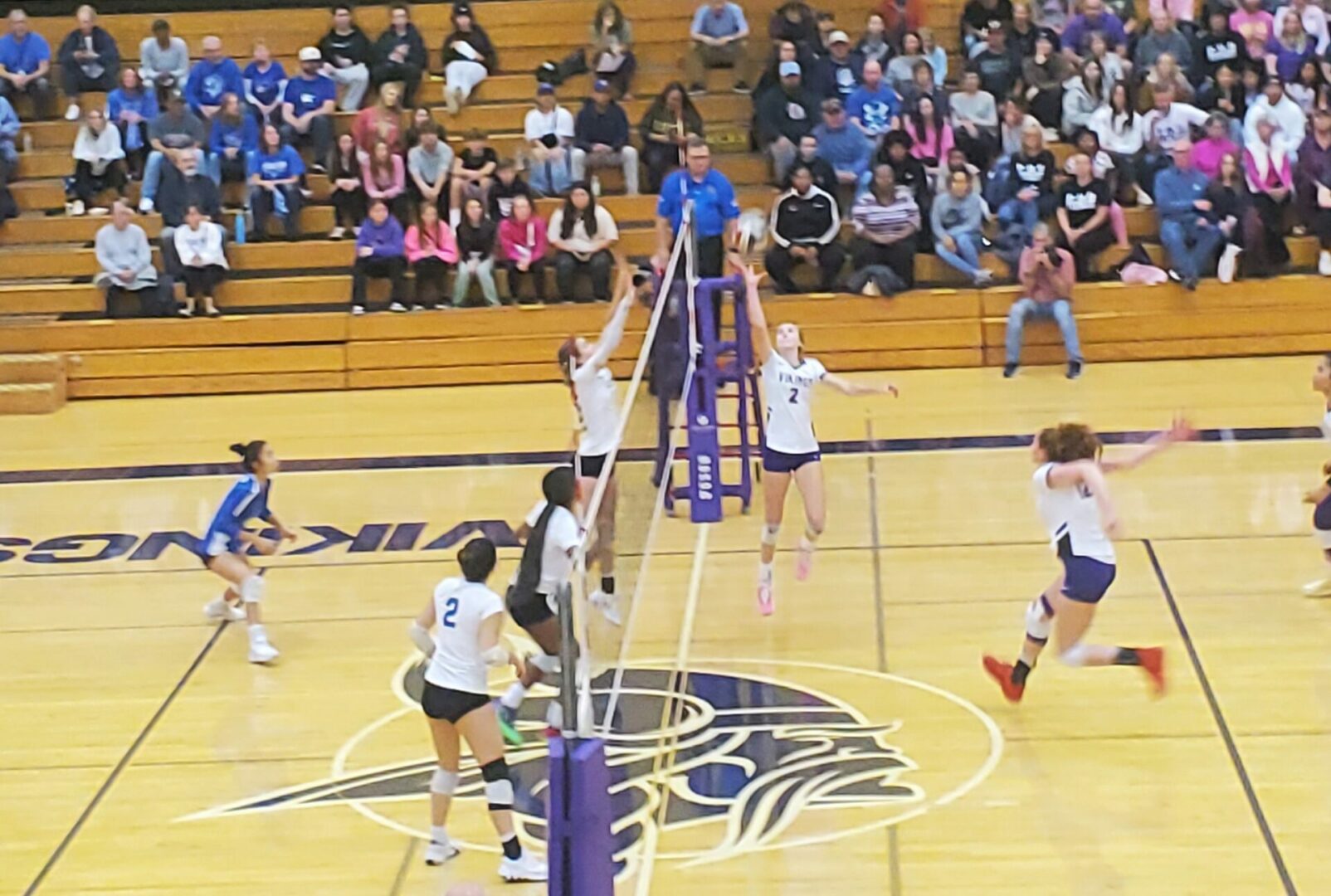 puy curt vb 2