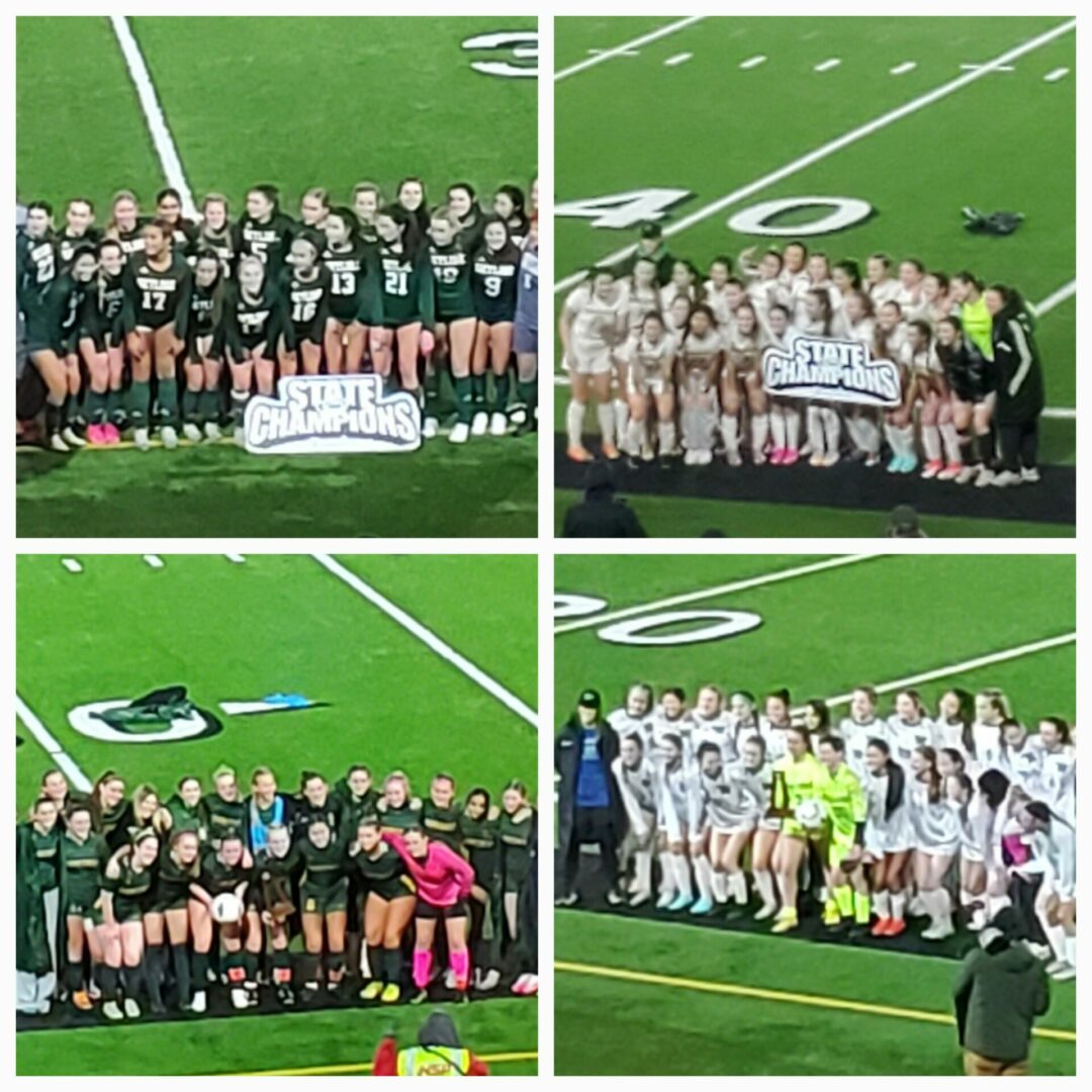 3a4a state soccer