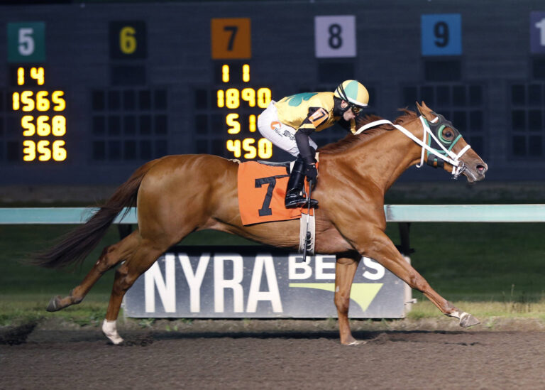 emd rockit a day w guti