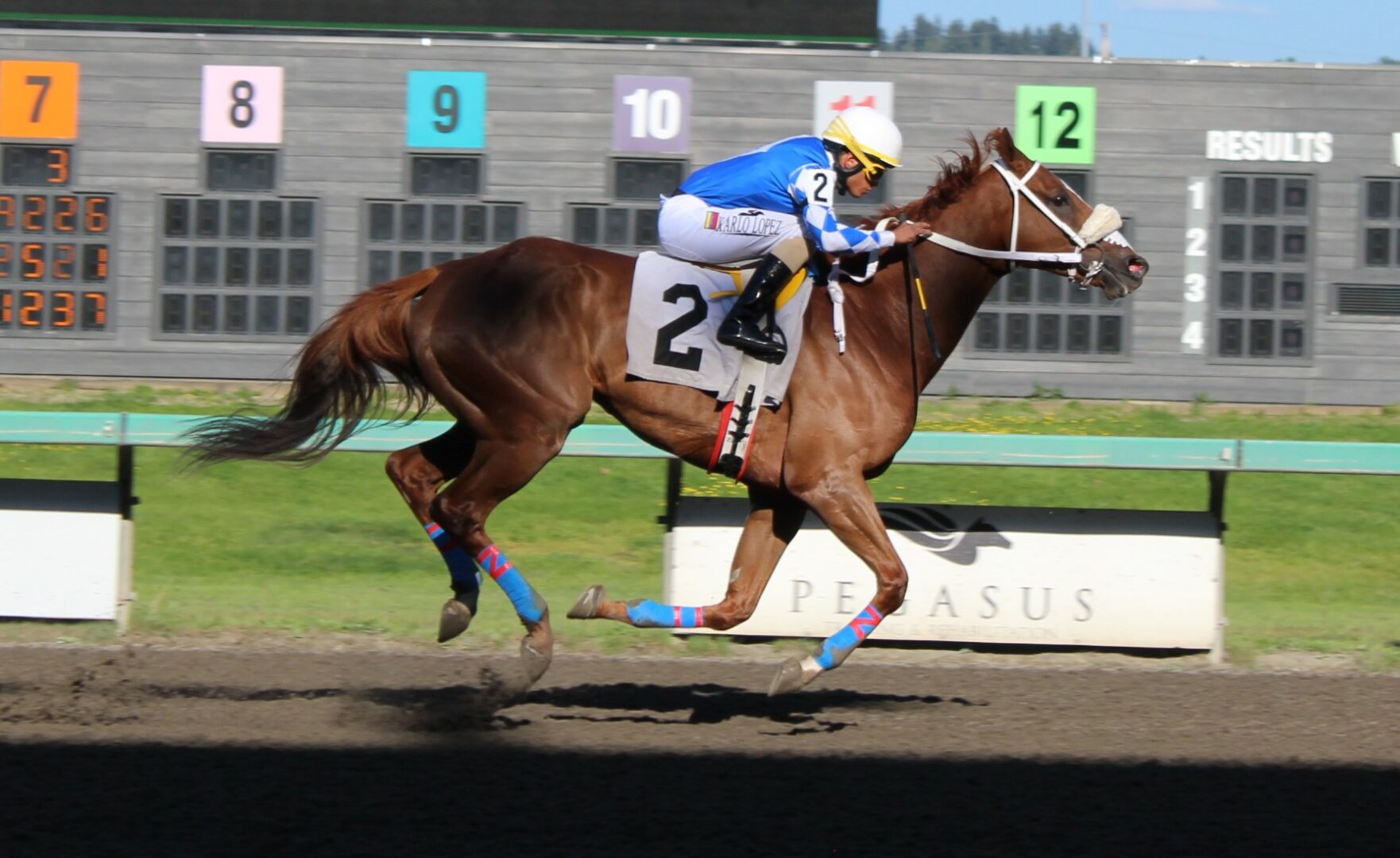 race 8 (2)