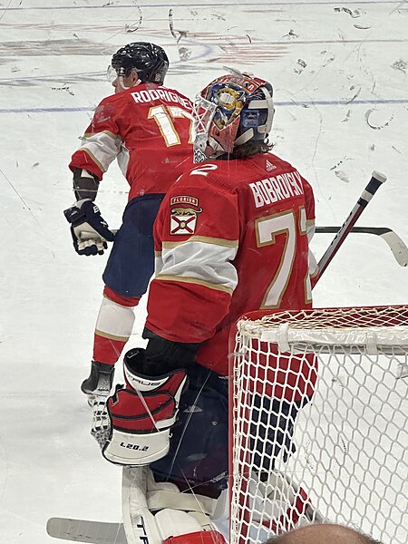 Bobrovsky Panthers