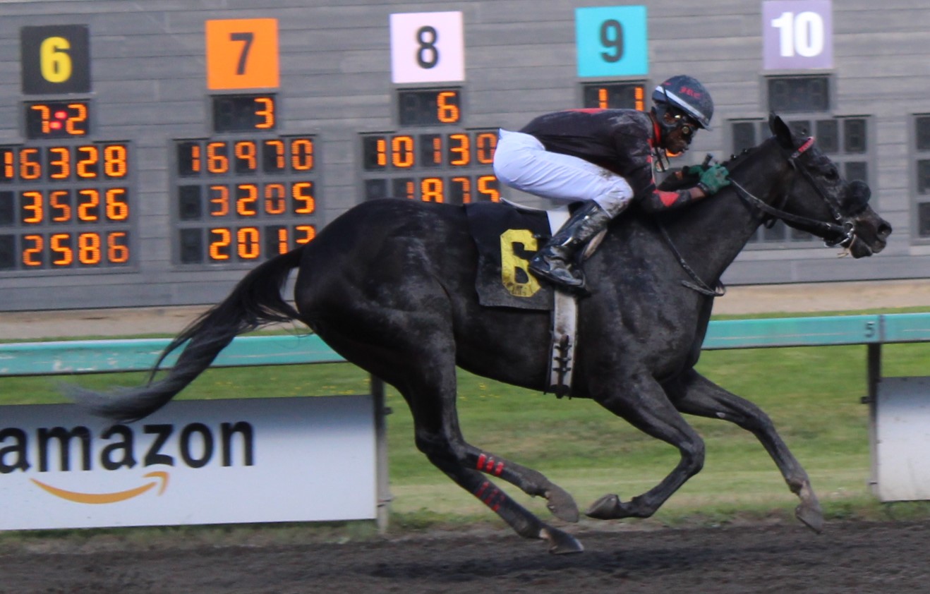 race 7 (1)