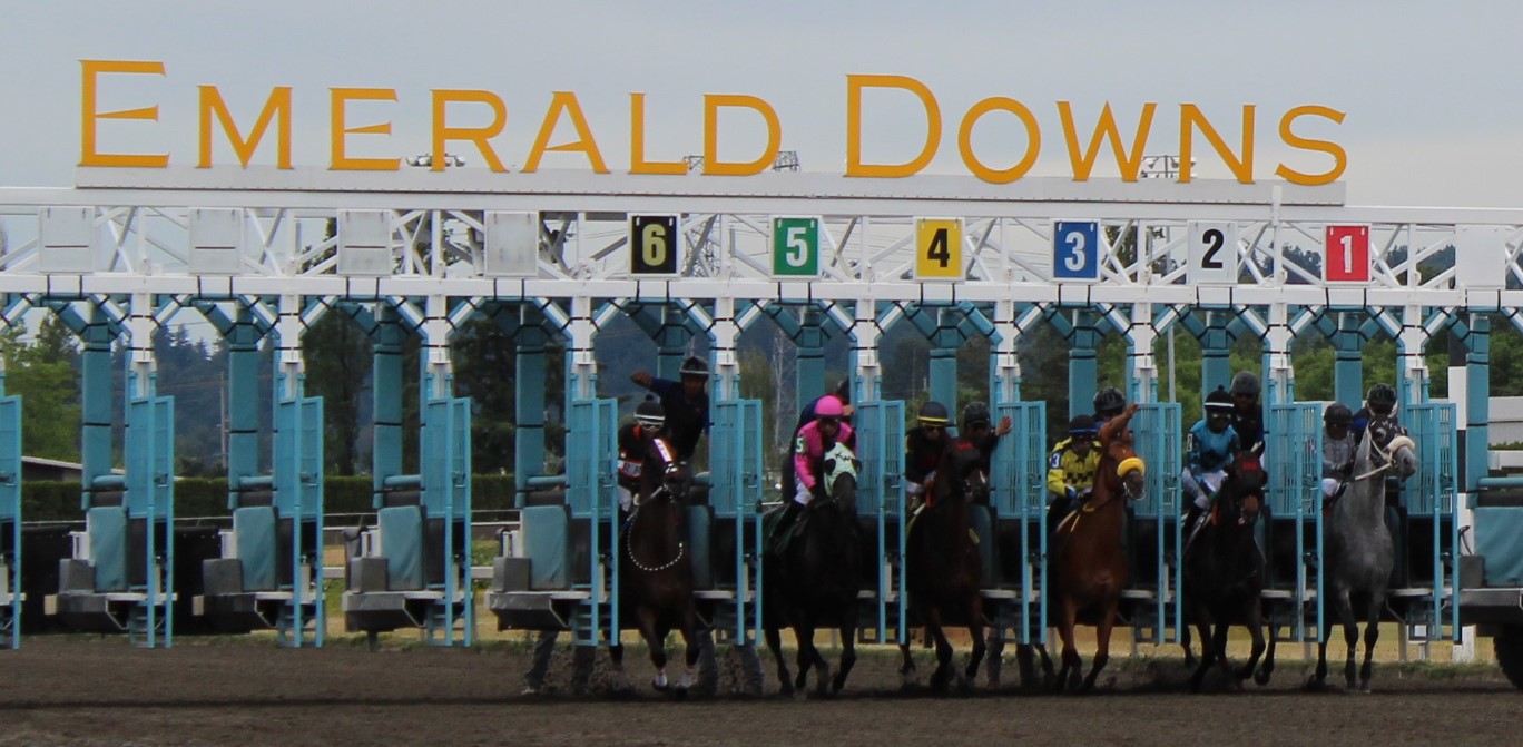 race 7 (3)