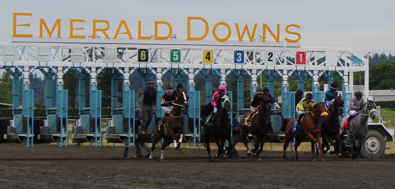 race 7 (5)