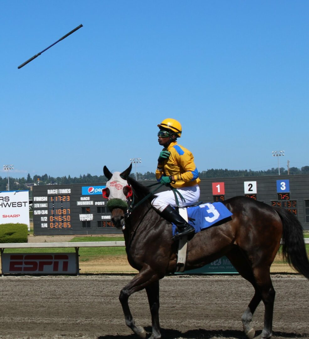 race 4 (5)