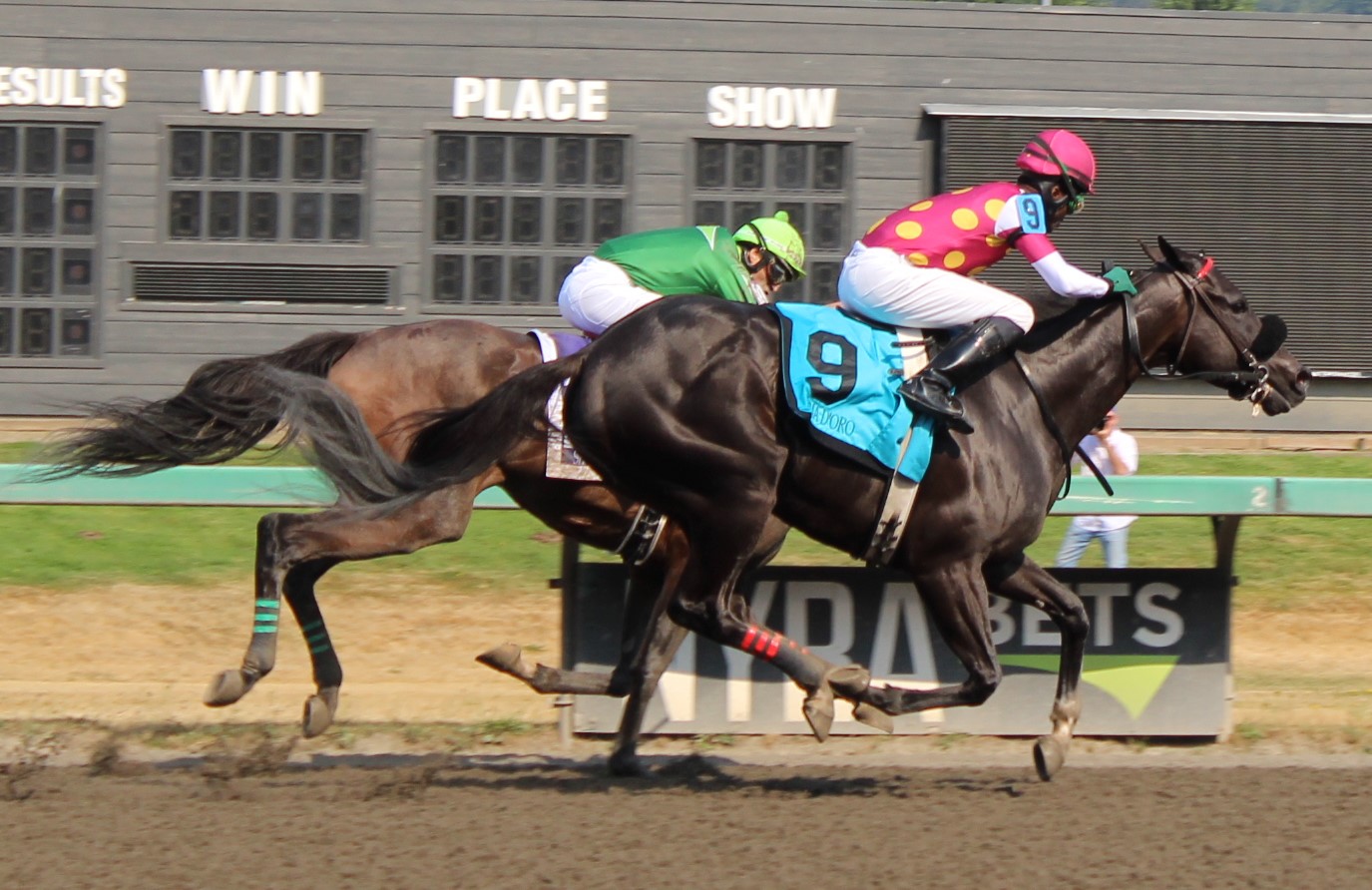 race 7 (1)