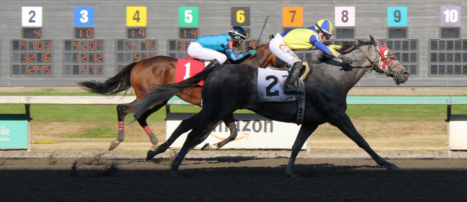 race 9 (4)
