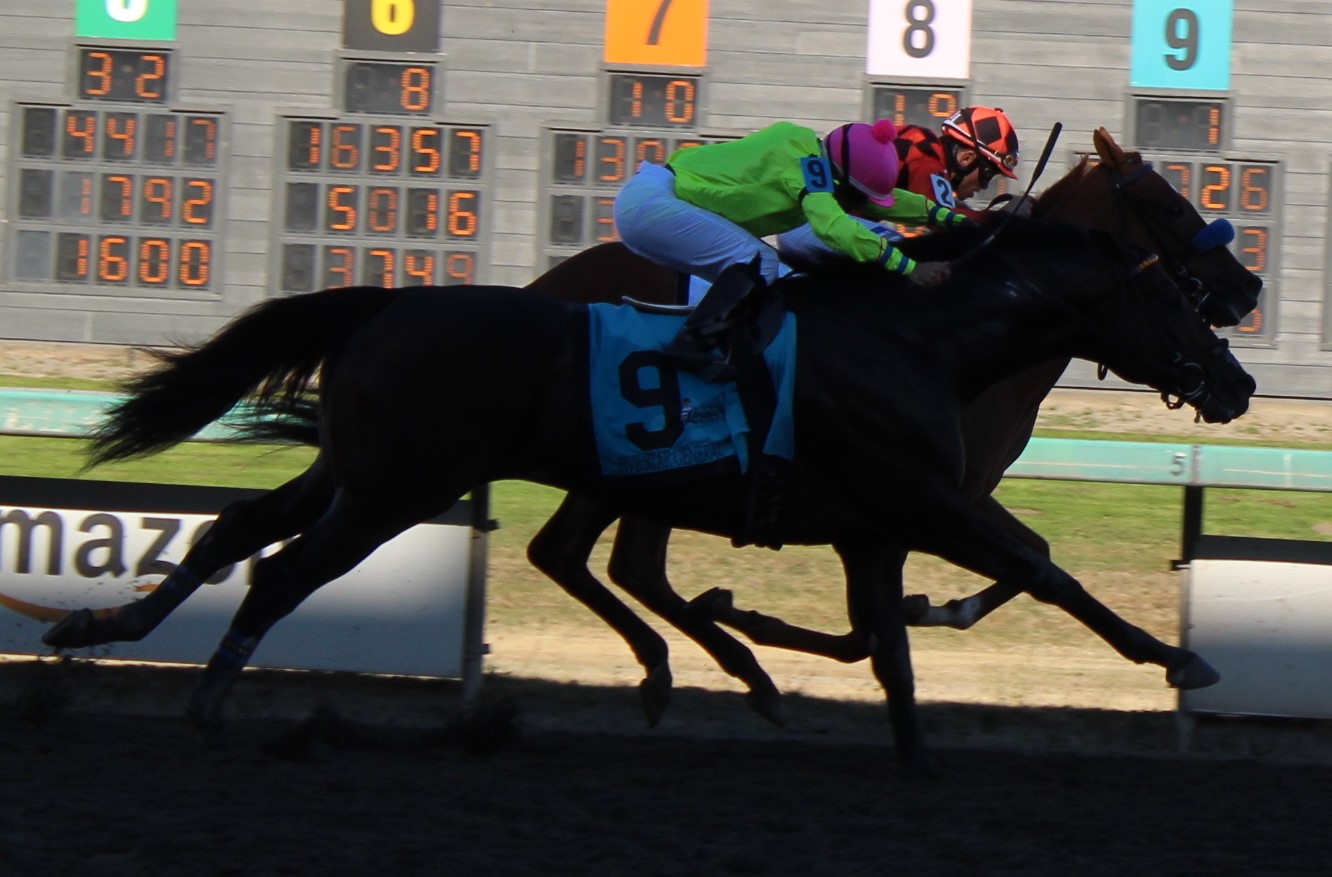 Longacres Mile (5)