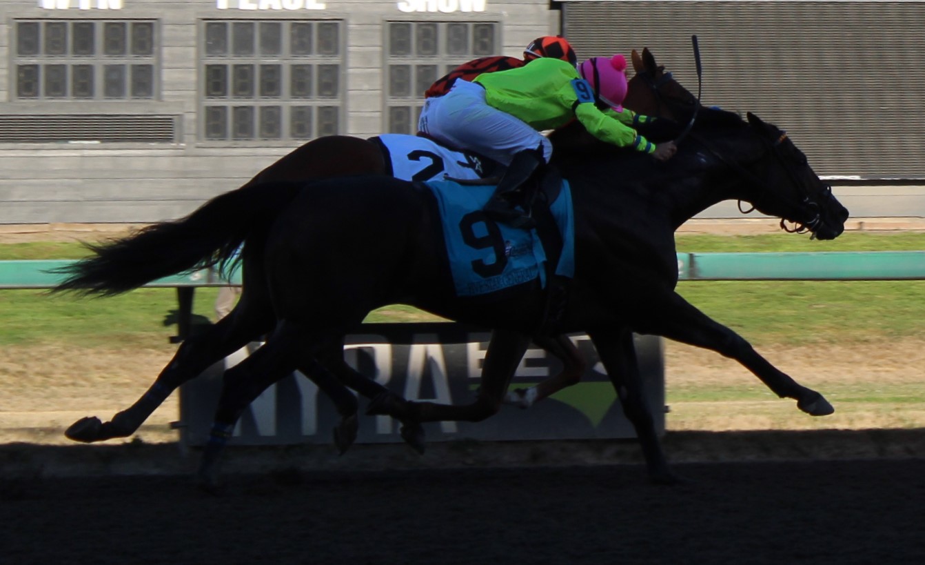 Longacres Mile (6)