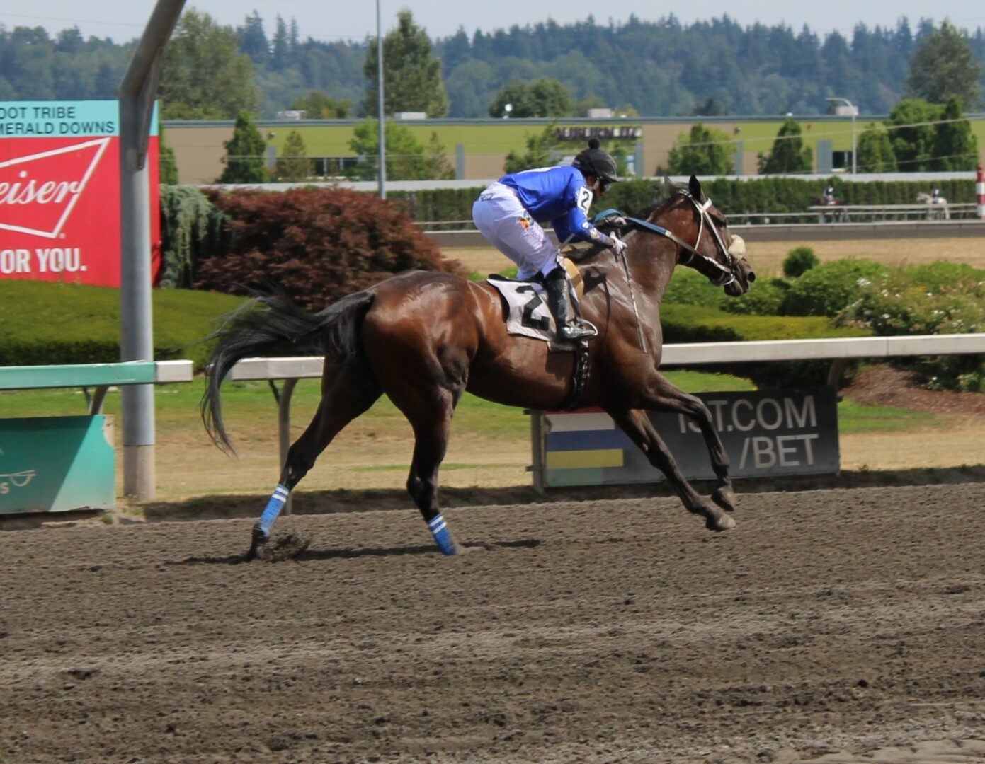 emd River Dance Montalvo 1