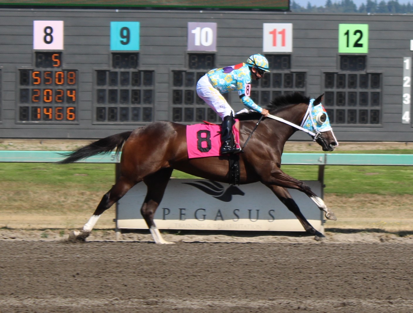 race4 (2)