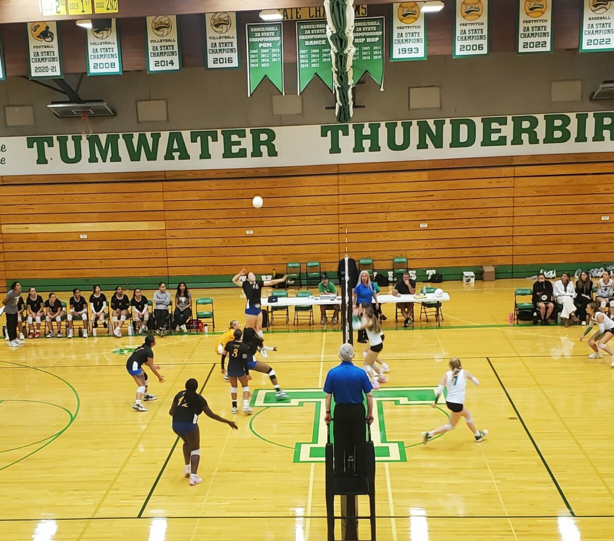 tum fife vb 1