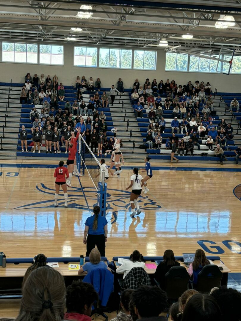 Cams vs Curtis VB 2024