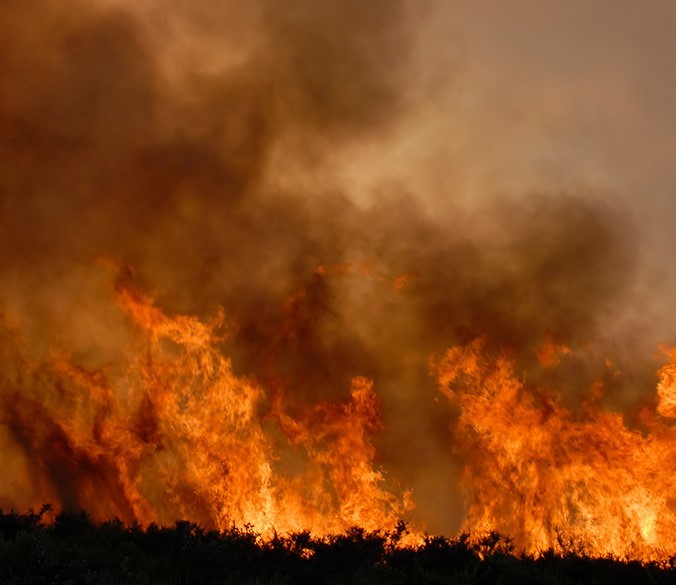 wildfires 2