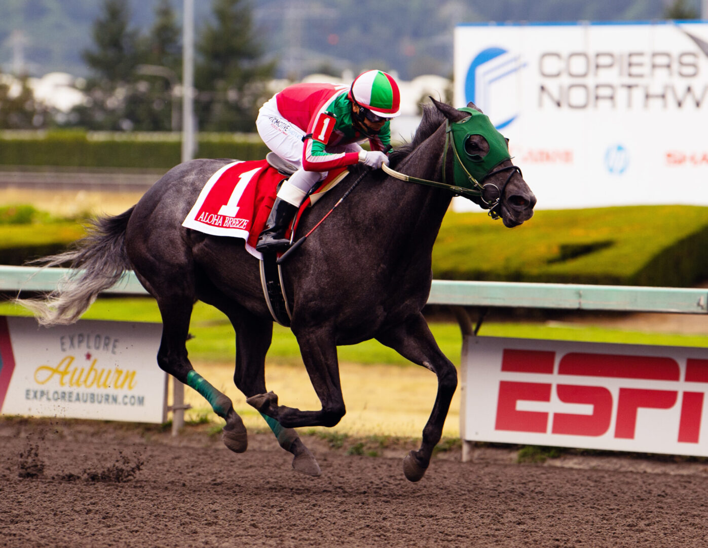 ed 720 Aloha Breeze leg stks