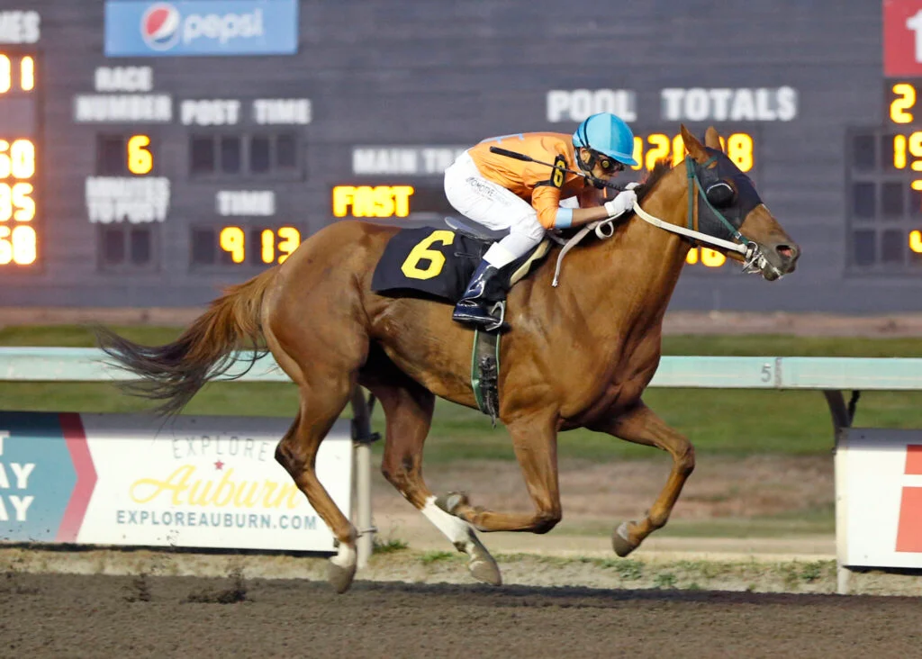 ed conrad meadows montalvo stretch