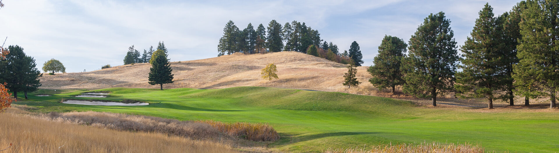 Palouse Ridge