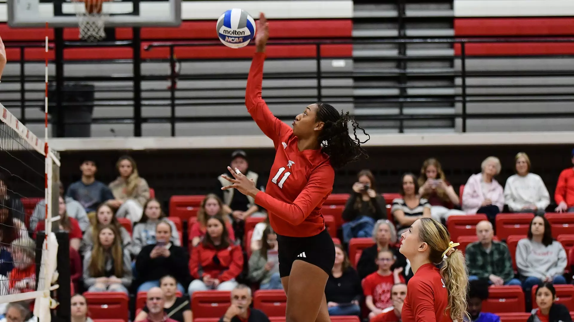 Saint Martin's Volleyball