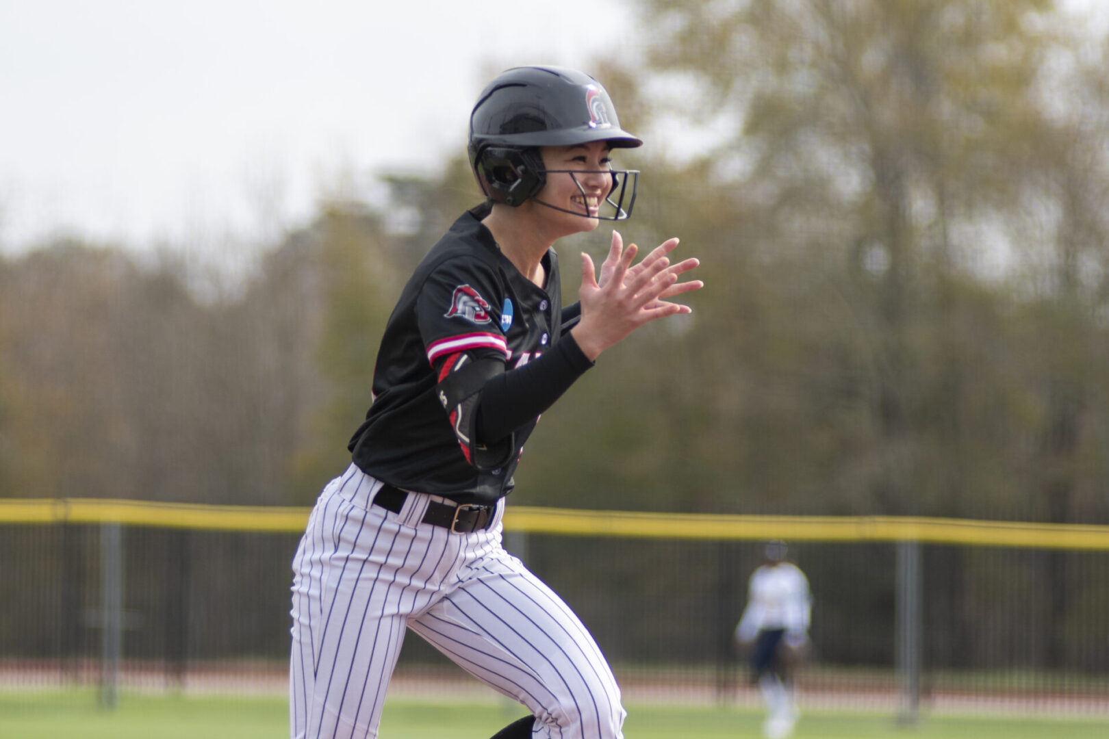 Saint Martin's Softball 2026