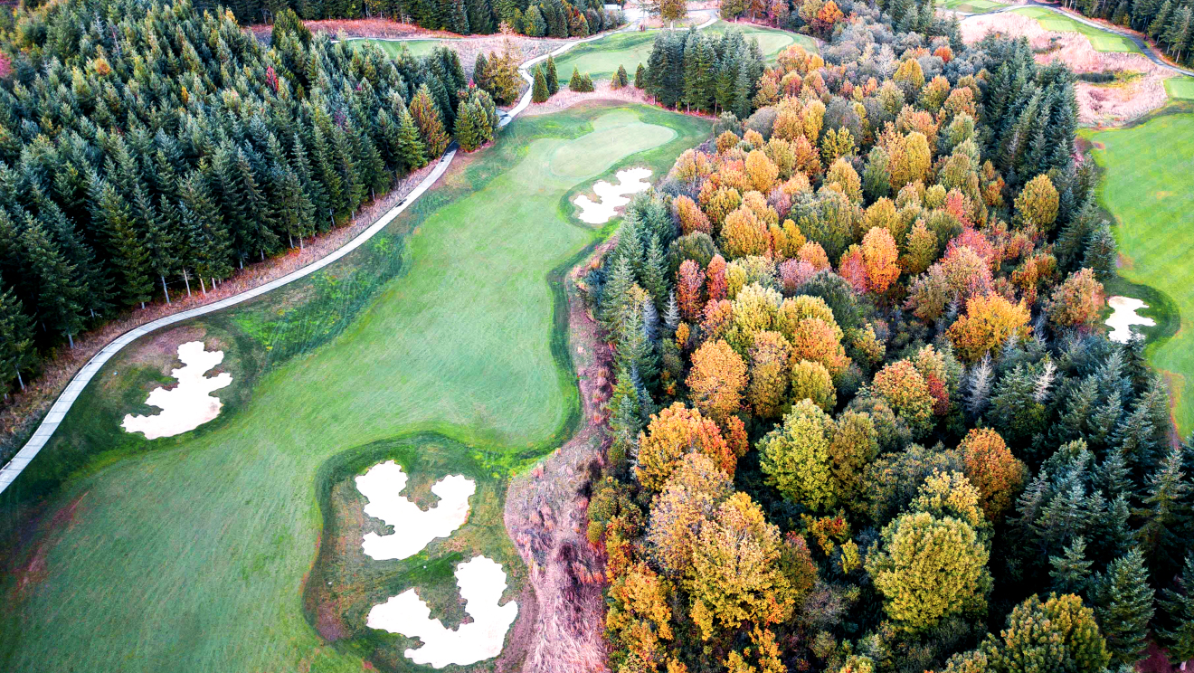 salish cliffs