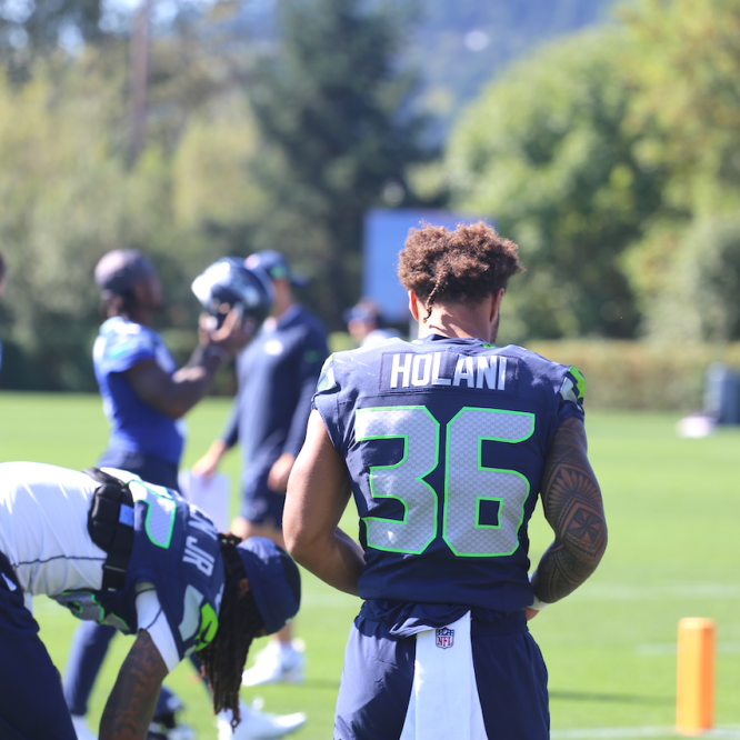 seahawks holani