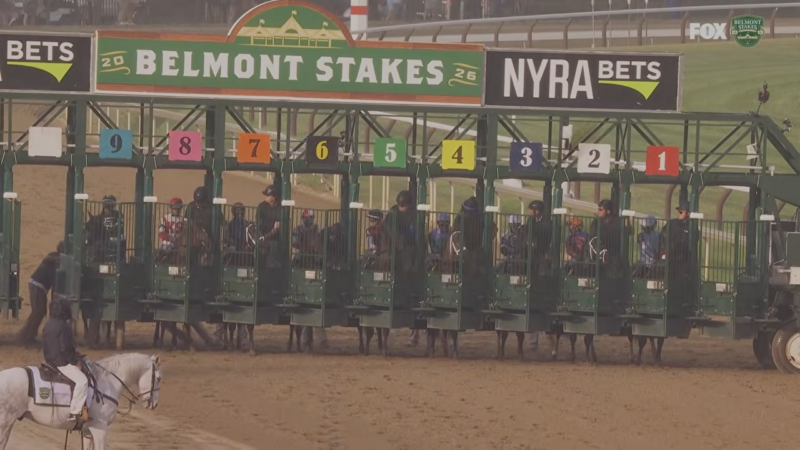 belmont gates